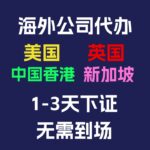 中国香港/英国/美国/新加坡/日本企业营业执照注册