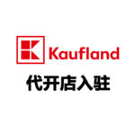 Kaufland.de代开店入驻