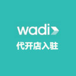 Wadi  代开店入驻